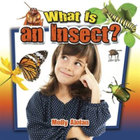 What_Is_An_Insect_