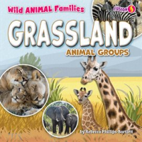 Grassland_Animal_Groups