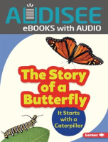 The_Story_of_a_Butterfly