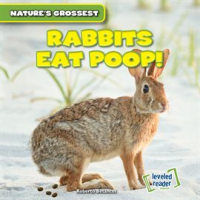 Rabbits_Eat_Poop_