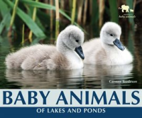 Baby_Animals_of_Lakes_and_Ponds