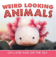 Weird_Looking_Animals_On_Land_and_On_The_Sea