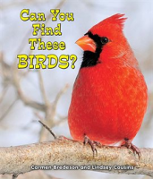 Can_You_Find_These_Birds_