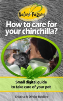 How_to_care_for_your_chinchilla_
