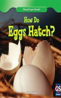 How_Do_Eggs_Hatch_