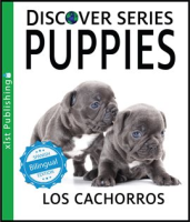 Puppies___Los_Cachorros