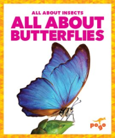 All_About_Butterflies