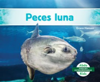 Peces_luna__Mola_Ocean_Sunfish_