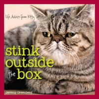 Stink_Outside_the_Box