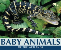 Baby_Animals_of_the_Wetlands