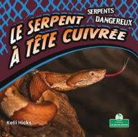 Le_serpent____t__te_cuivr__e