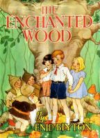 The_Enchanted_Wood
