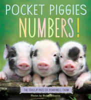Pocket_Piggies_Numbers_