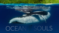 Ocean_Souls