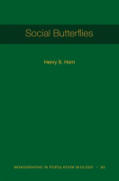 Social_Butterflies