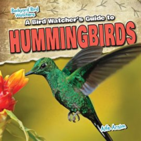 A_Bird_Watcher_s_Guide_to_Hummingbirds