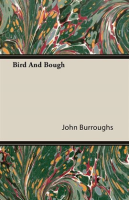 Bird_And_Bough