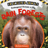 Endangered_Animals_in_the_Rain_Forest