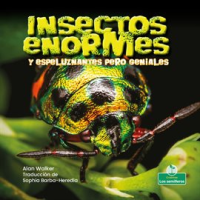 Insectos_enormes_y_espeluznantes_pero_geniales