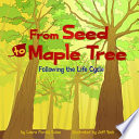 From_seed_to_maple_tree