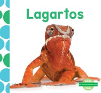 Lagartos__Lizards_