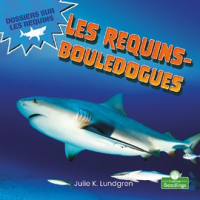 Les_requins-bouledogues