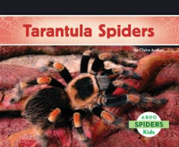 Tarantula_Spiders