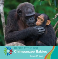 Chimpanzee_Babies
