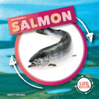 Life_Cycle_of_Salmon