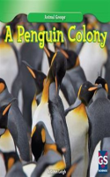 A_Penguin_Colony