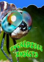 Incredible_Insects