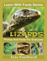Lizards_Photos_and_Facts_for_Everyone