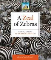 Zeal_of_Zebras