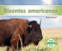 Bisontes_americanos__American_Bison_