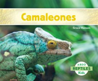 Camaleones__Chameleons_