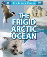 The_Frigid_Arctic_Ocean
