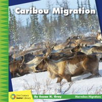 Caribou_Migration