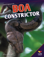 Boa_Constrictor