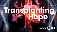Transplanting_Hope