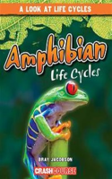Amphibian_Life_Cycles