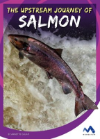 The_Upstream_Journey_of_Salmon