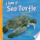 I_am_a_sea_turtle
