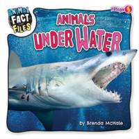 Animals_under_Water