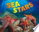 Sea_stars
