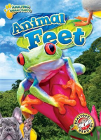 Animal_Feet