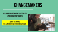 Jenny_Desmond__The_Sanctuary_for_Chimpanzee_Rescue