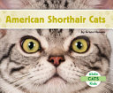 American_shorthair_cats