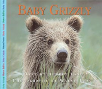 Baby_Grizzly