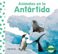 Animales_en_la_Ant__rtida__Animals_in_Antarctica_