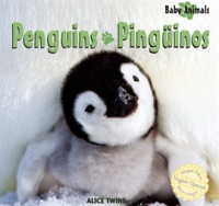 Penguins___Pinguinos
